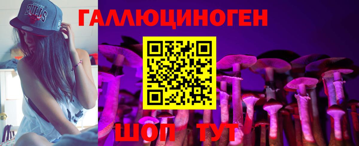 Галлюциногенные грибы Psilocybe Кимры